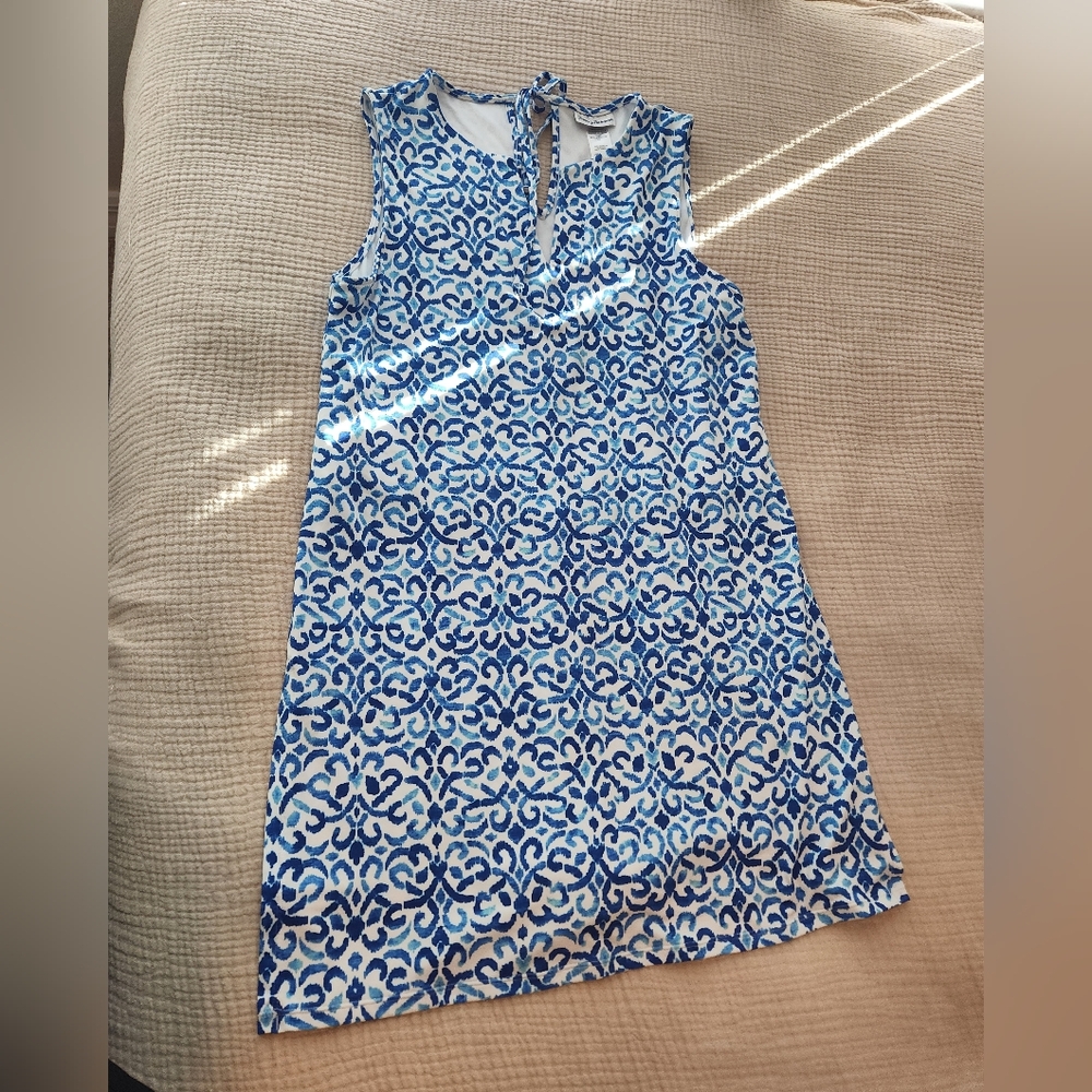 Blue and White Sleeveless Dress